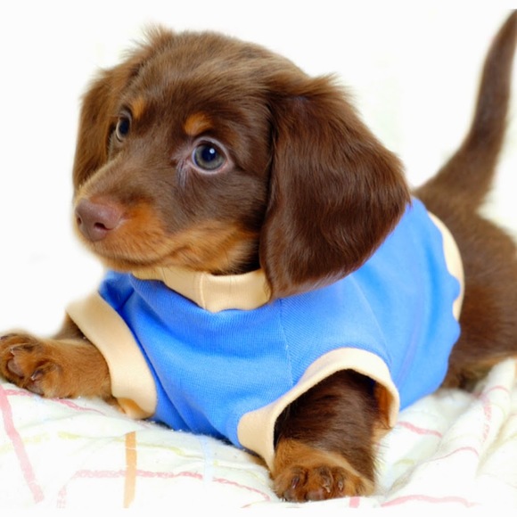 Meet your Posher, Preeth - Picture 1 of 1